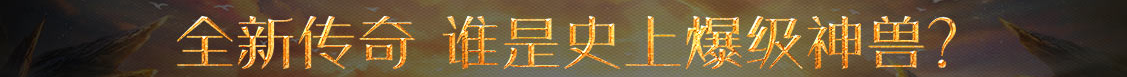 聚焦視訊